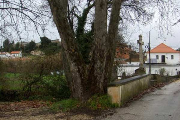 sociedadepontenamorados