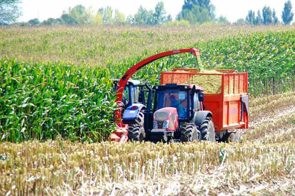 agroclusteragribusiness