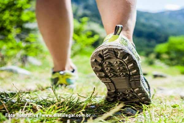 torresnovascaminhadariachos