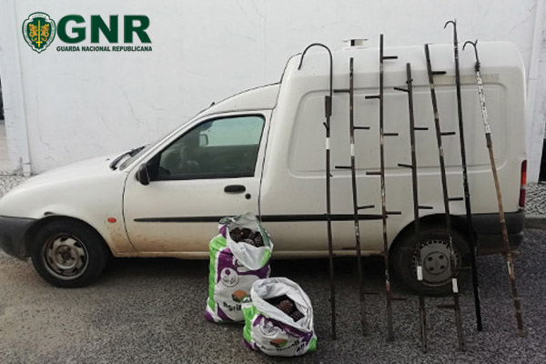 gnr pinhas cartaxo