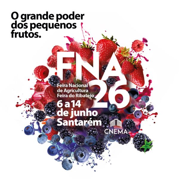 FNA26_rede regional_popup 1_cartaz fna_600x600